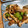 Magnolia★'s cooksnap of when they made 切って炒めて即効！ソースちくわ.