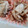 sorayuukei's cooksnap of when they made エリンギとえのきのバター炒め♩.