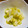 ru−ru's cooksnap of when they made 簡単！セロリの浅漬け.