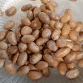 もふうさ's cooksnap of when they made 節分の豆のおいしい茹で方♪.