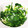 ソネチコ's cooksnap of when they made めちゃ簡単ver.♪ワケギはレンジで♪.