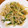 ゆすひと's cooksnap of when they made もやしときゅうりのごま胡麻和え.