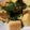 クック0UQ98I☆'s cooksnap of when they made 揚げ高野豆腐☆.