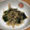 Sac’HiNa's cooksnap of when they made ほうれん草とえのきのおひたし.