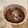 ☆サナママ☆'s cooksnap of when they made 簡単☆HMで濃厚チョコカップケーキ☆.