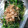 やーしー's cooksnap of when they made ほうれん草のお浸し☆.