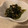 ぎんはる's cooksnap of when they made お刺身生ワカメとツナの簡単和え物♪.