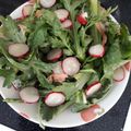しゅら吉's cooksnap of when they made 春菊と鶏むね肉のサラダ.