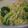 saki1010's cooksnap of when they made お手軽ツナ☆パスタ.