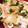 chicappe's cooksnap of when they made 【節約・簡単】　木の葉丼.