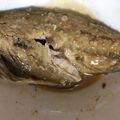 Mihirosei's cooksnap of when they made コッテリ美味♪「鯖の味噌煮」.
