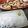 ちゃーん♪'s cooksnap of when they made イカのバター焼き(ᵔᴥᵔ).