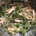 やーしー's cooksnap of when they made ブロッコリースプラウトと鶏むねの棒々鶏風.