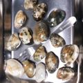 アクセル☆'s cooksnap of when they made 30分で！！あさりの砂抜き.