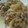 こぼく's cooksnap of when they made 豚肉と玉ねぎのオイスターソース炒め.