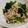クック0UQ98I☆'s cooksnap of when they made 蒸しブロッコリーの梅おかか和え.