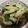 nana_tenjo's cooksnap of when they made セロリの漬物.