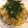 クック1S0J7X☆'s cooksnap of when they made 天かすで簡単！たぬき丼☆.