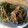 aaaaaaaai's cooksnap of when they made もう一品に!!えのきと糸こんの炒め物.