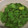 Eire's cooksnap of when they made 簡単！KALDIパクチースープ再現.