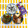 ◆◇Wtiti＊◇◆'s cooksnap of when they made 厚揚げと小松菜の煮物.
