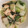 いずみはる's cooksnap of when they made 白菜と厚揚げの蒸し煮＊味噌生姜味.