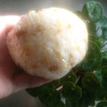 チコリママ's cooksnap of when they made おひとりさまの残ったそぼろでおにぎり.