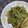 みがつくひと's cooksnap of when they made もやしと春菊の塩炒め★.