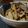 ダイナマイト漆黒's cooksnap of when they made 新ごぼうと豚肉の山椒風味炒め.