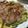 ノビル's cooksnap of when they made 納豆のお好み焼き.
