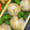 nosso's cooksnap of when they made 部活飯！卵とおかかのおにぎり♪.