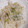 ♡Catherine's cooksnap of when they made 和食＊なめこと もやしエノキの 白だし煮.