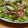 クックサイクリスト☆'s cooksnap of when they made サニーレタスとアボカドと生ハムのサラダ.