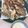 Yokchina's cooksnap of when they made なすのピカタ.
