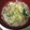 クックRCHX24☆'s cooksnap of when they made 朝食にぴったり！白だしでかきたまごスープ.