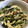 ちさちゅ★'s cooksnap of when they made セロリとベーコンのマヨネーズ炒め和え.