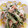 クック7HFUL8☆'s cooksnap of when they made 《簡単♪小鉢》春菊とカニカマのマヨ和え.