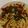 クックSXL09X☆'s cooksnap of when they made わらびのコラトゥーラ（魚醤）パスタ.