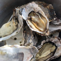 ゆかりりりー's cooksnap of when they made 超簡単に牡蠣をぷっくりと圧力鍋で蒸す.
