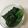 しげその's cooksnap of when they made レンジでほうれん草 おひたしに♪.