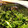 Hirorinaki's cooksnap of when they made 豆苗の塩昆布和え.