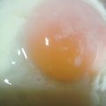 happykote's cooksnap of when they made 炊飯器で、放置！簡単温泉卵が、約5分で♡.
