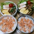 ﾋﾟﾛﾐ♡'s cooksnap of when they made ピーマン玉ねぎ豚肉のごまドレッシング炒め.