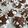 2206's cooksnap of when they made バター不要☆チョコクラッククッキー.
