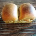 ☆うにうにたろー☆'s cooksnap of when they made 【糖質制限】ふすま食パン.