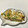 hyperaika's cooksnap of when they made 白だしで簡単＊ネギとごまの卵焼き.