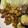 クックEECG0D☆'s cooksnap of when they made ホクホクじゃがいものサイコロステーキ.