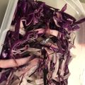 クックS4KDNE☆'s cooksnap of when they made 紫キャベツのラペ.