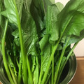 ちもてぃー's cooksnap of when they made ほうれん草の保存.