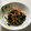 鈴木ちょこび's cooksnap of when they made ⭐ほうれん草とスルメの韓国風ナムル⭐.